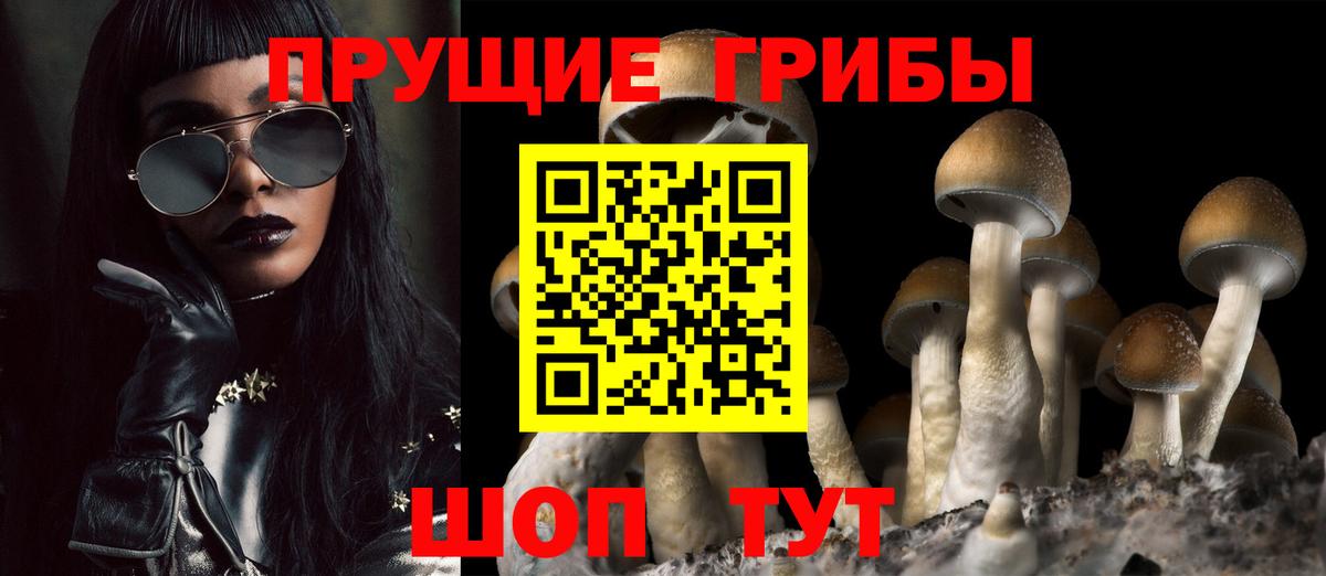Псилоцибиновые грибы мухоморы Кимры