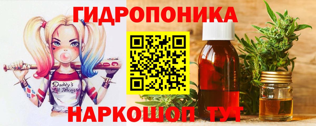 Бошки Шишки план Кимры